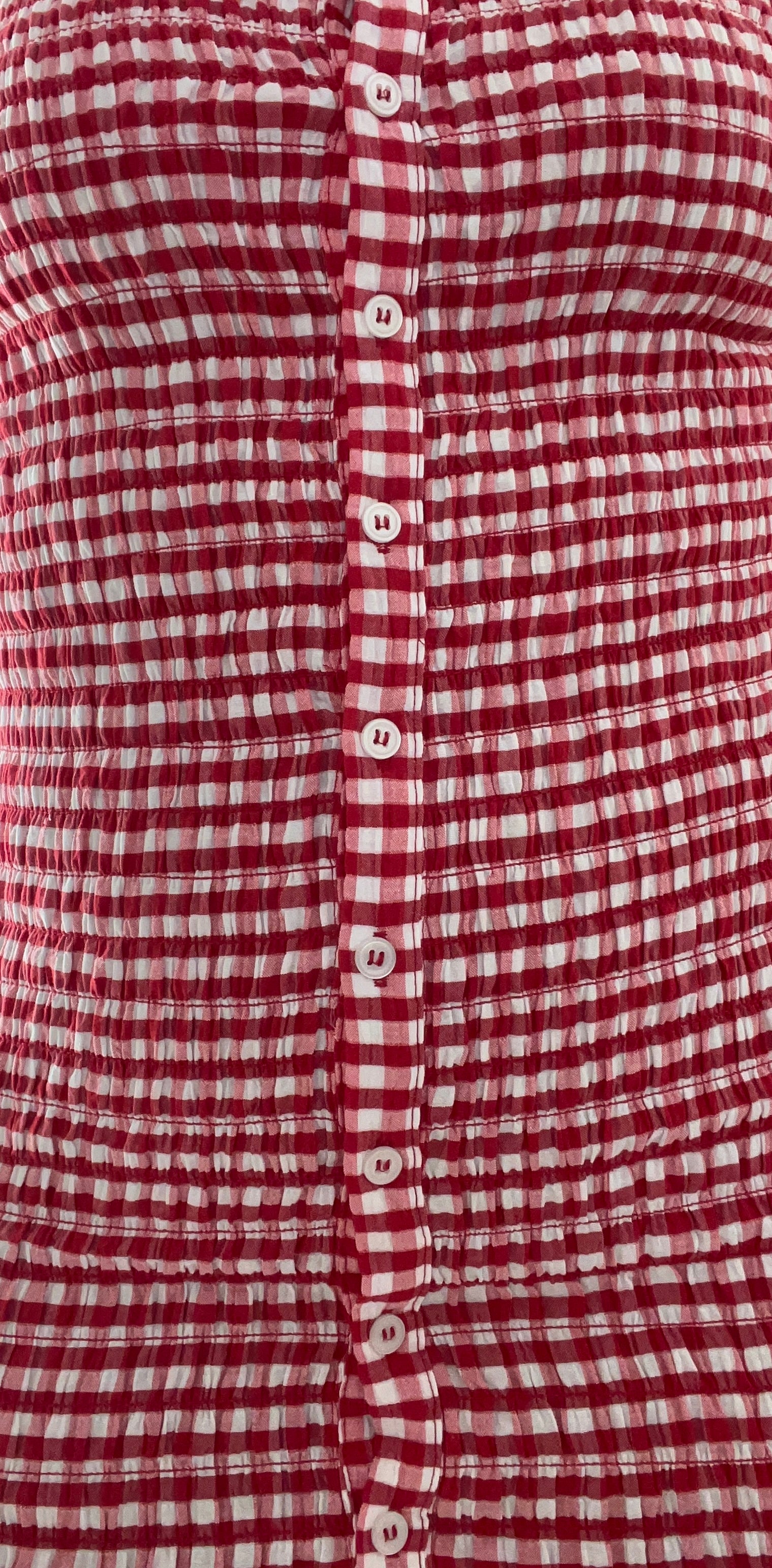 Red gingham collared dress