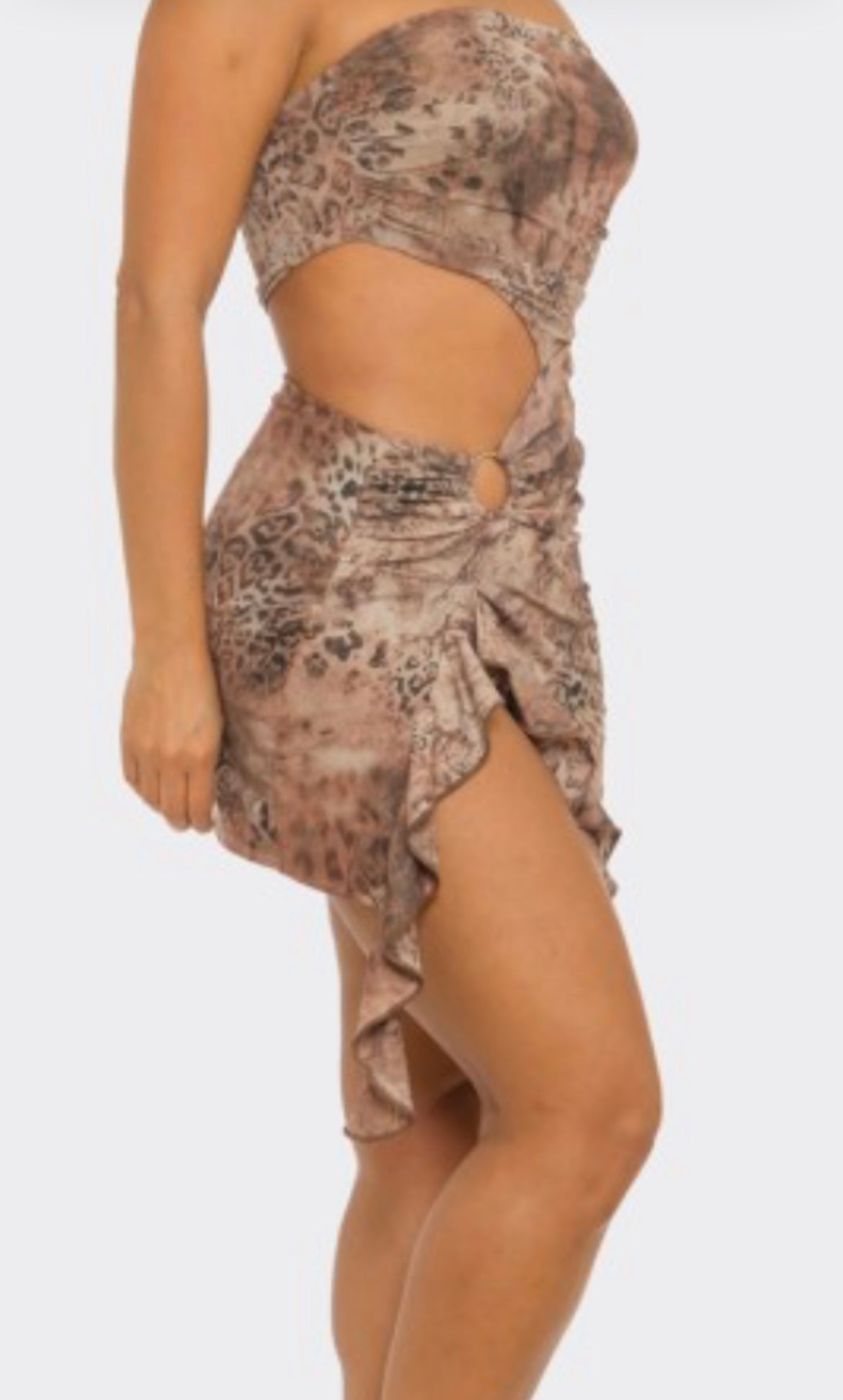 Brown Animal Print Mini Dress
